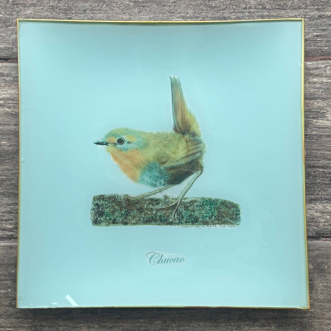 Plato Grande 25 cm - Chucao - Forma a elección