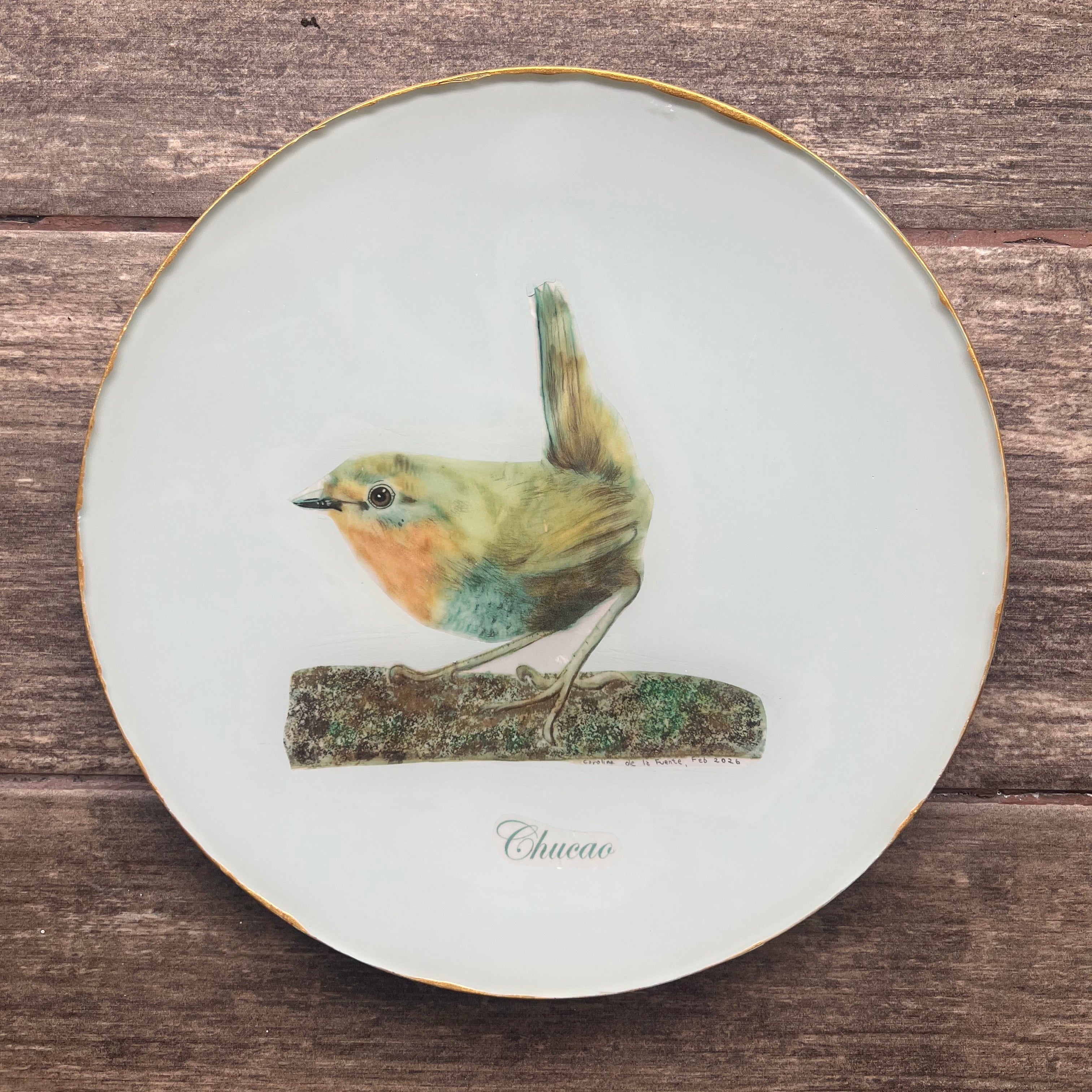 Plato Grande 25 cm - Chucao - Forma a elección