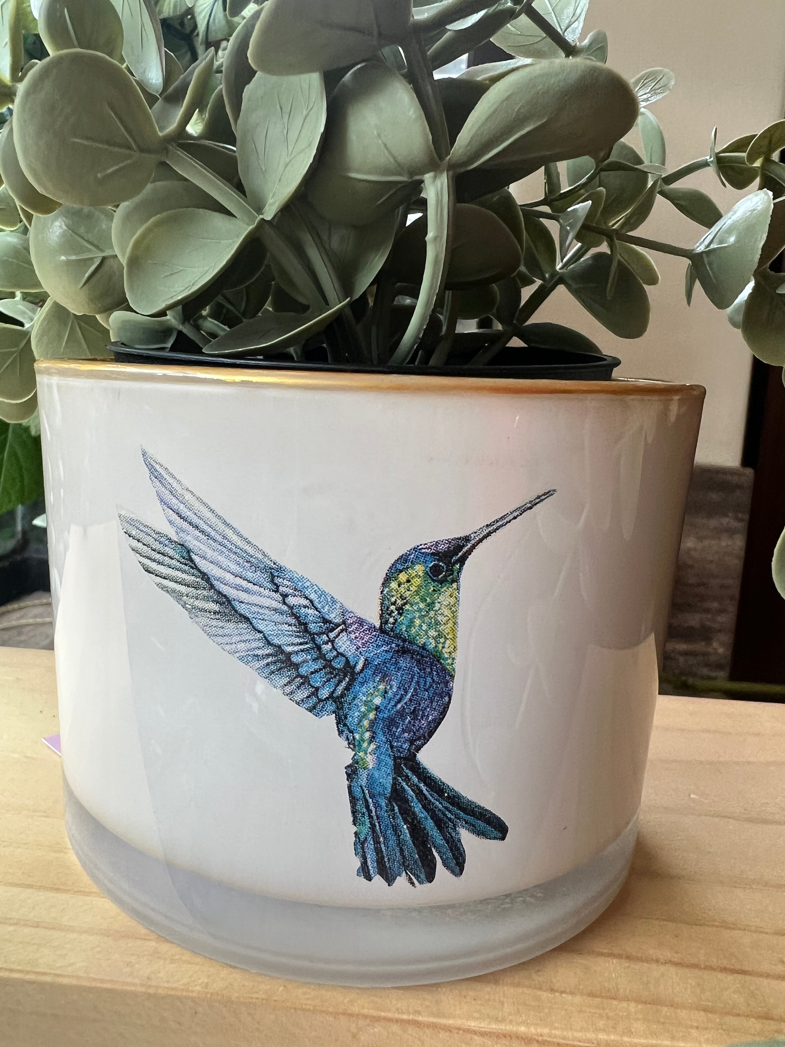 Portamaceta 11 cm - Colibrí