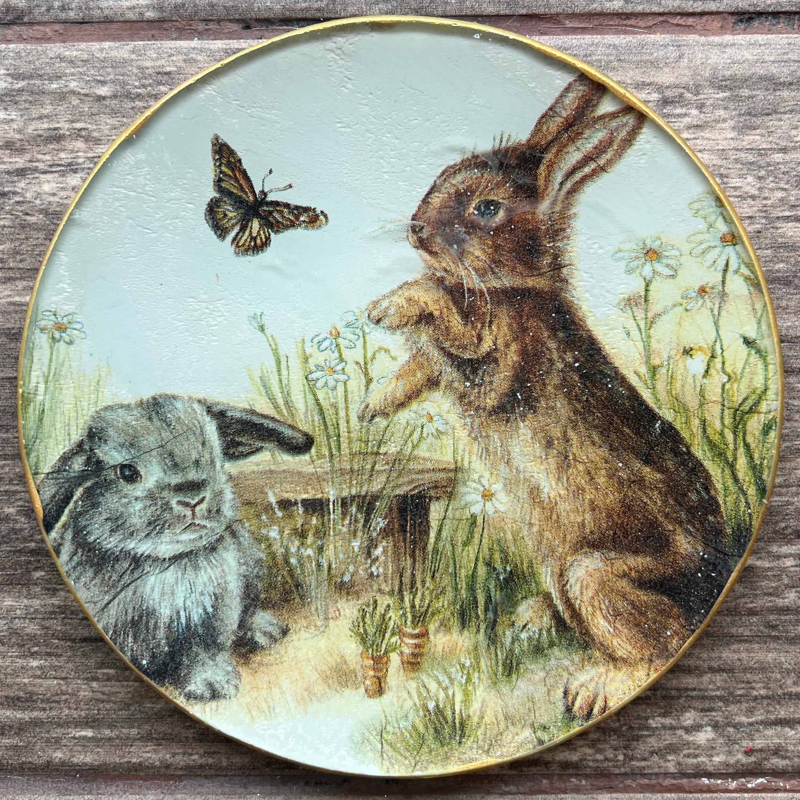 Plato Pequeño 15 cm - Rabbit