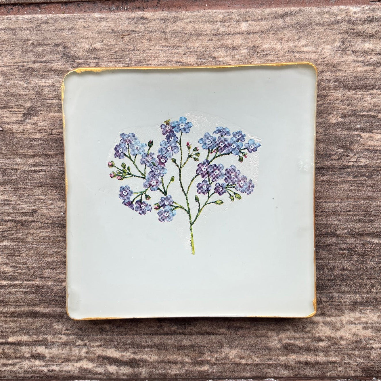 Plato Pequeño 10 cm - Nomeolvides