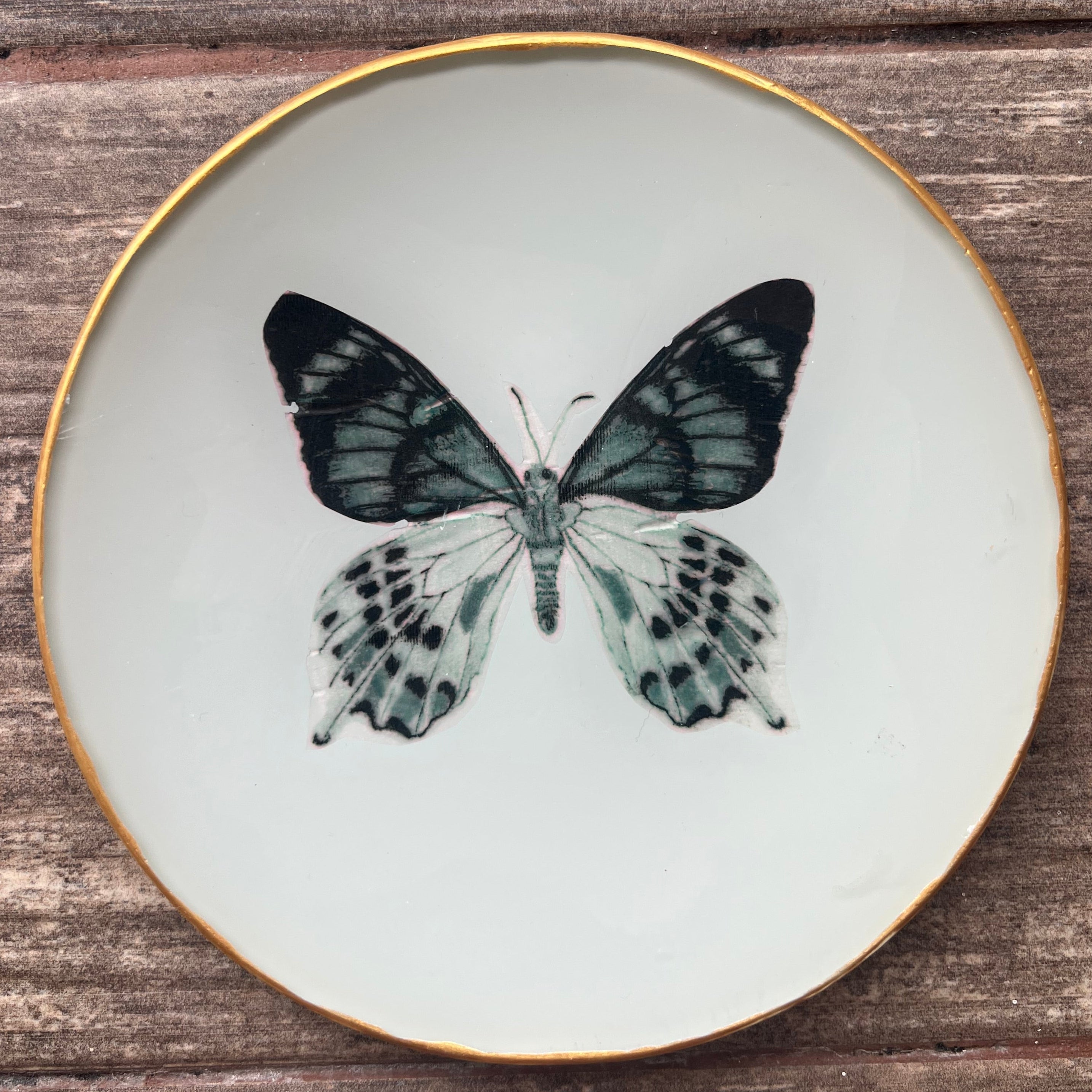 Plato Pequeño 15 cm - Mariposa - Ilustración