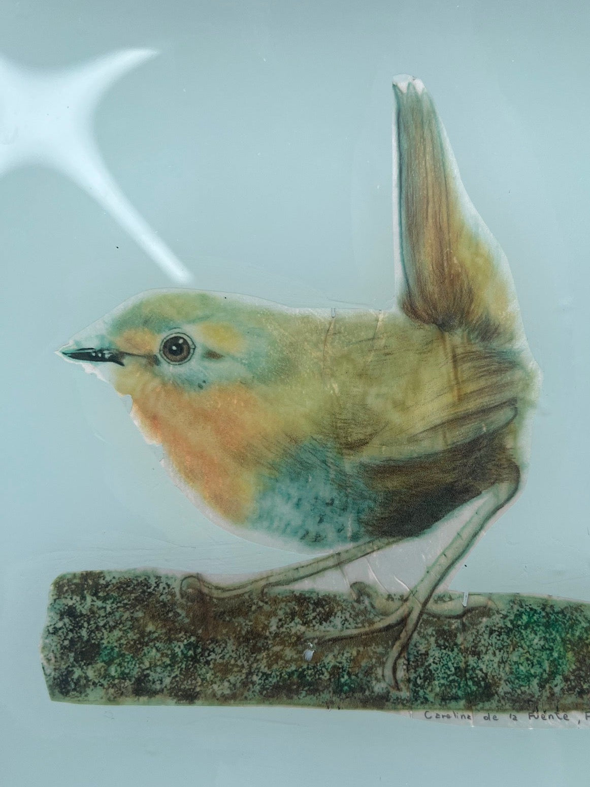 Plato Grande 25 cm - Chucao - Forma a elección