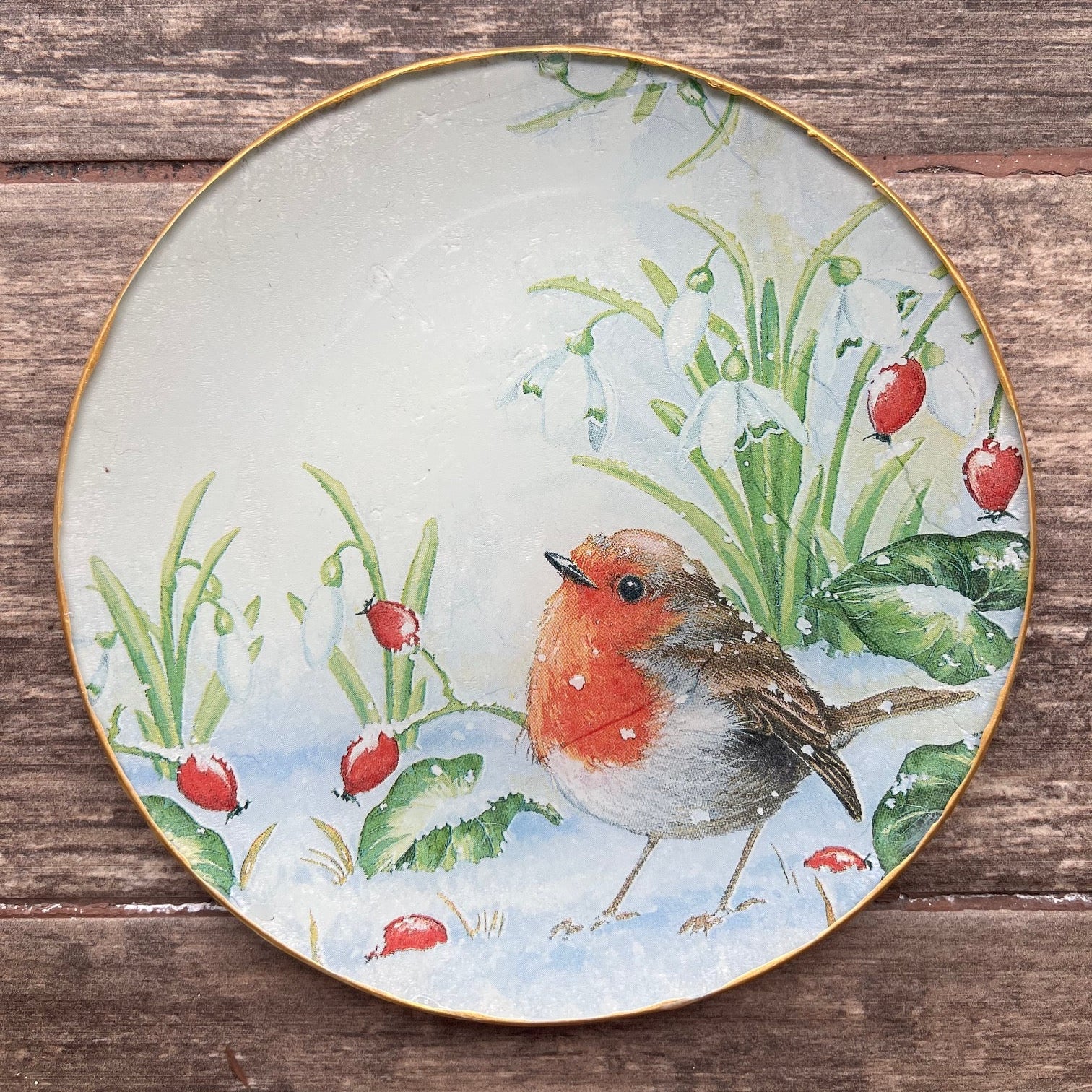 Plato Grande 25 cm - Petirrojo