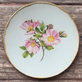 Plato Pequeño 15 cm - Rosa Mosqueta