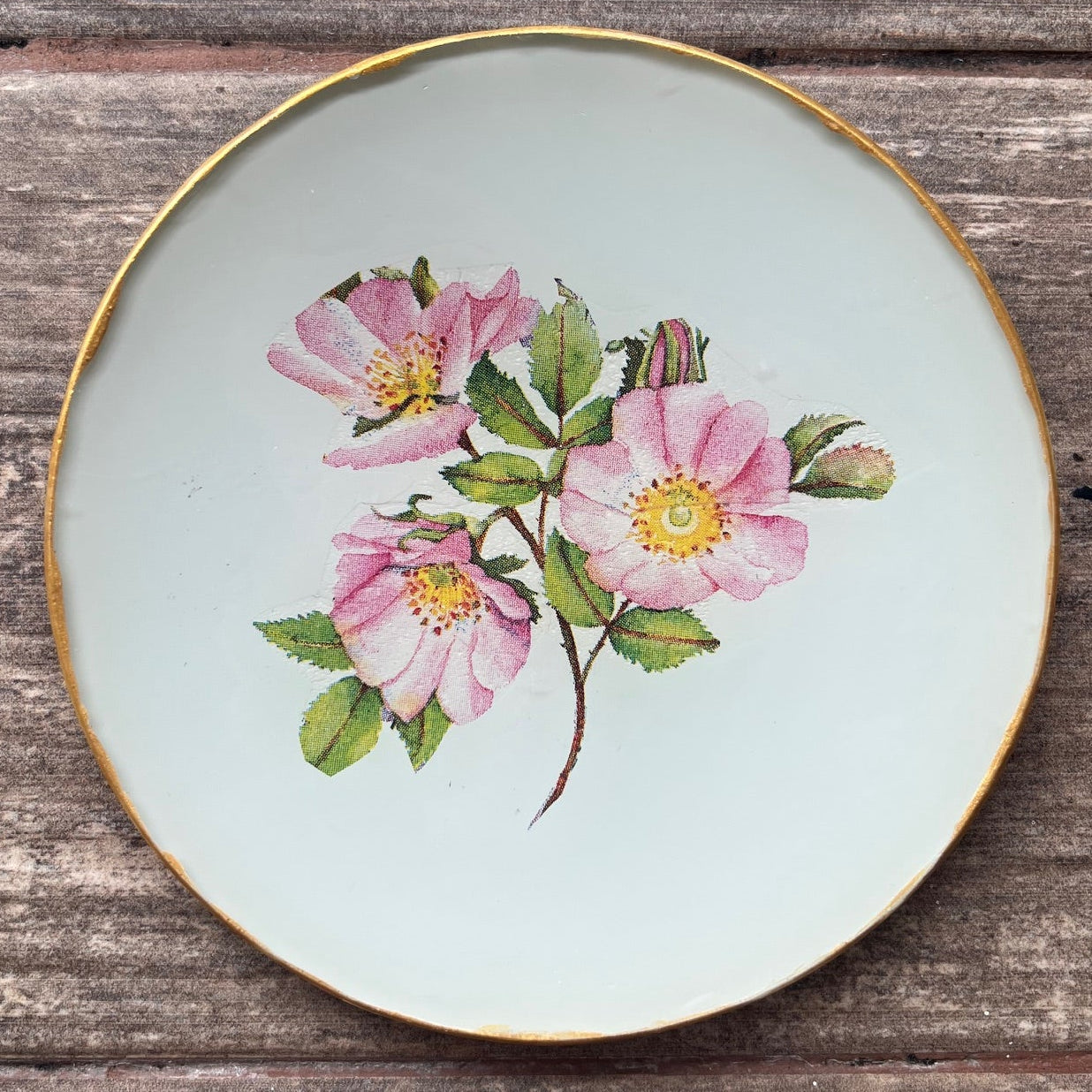 Plato Pequeño 15 cm - Rosa Mosqueta