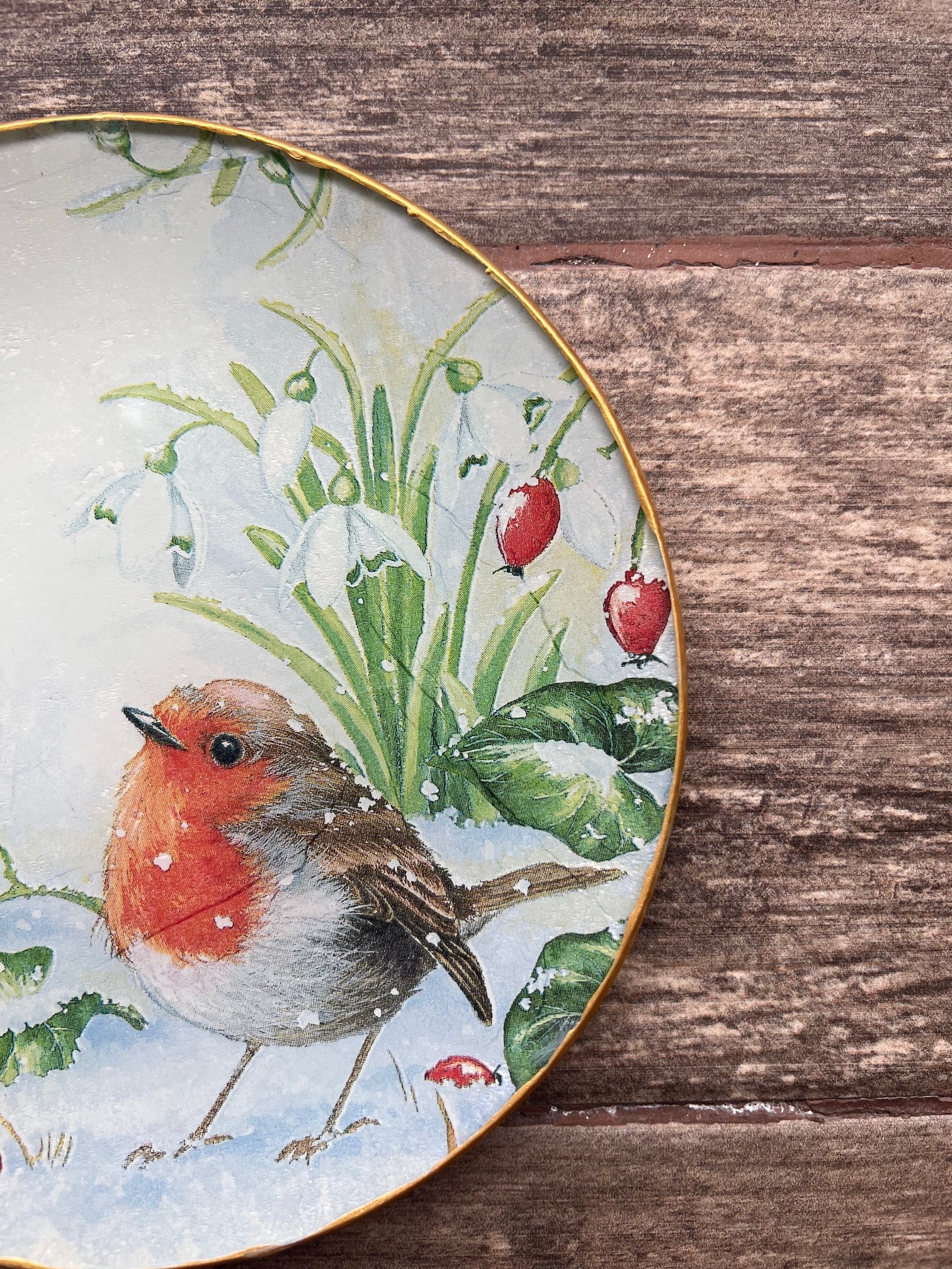 Plato Grande 25 cm - Petirrojo